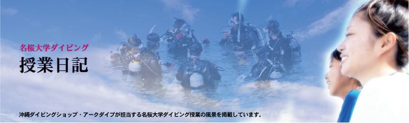 沖縄名桜大学ダイビング授業日記